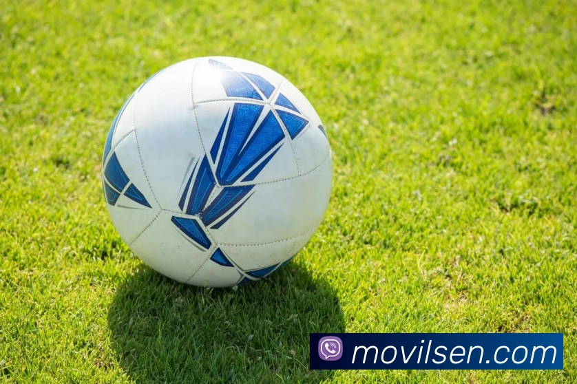 世界杯官网线上平台发展历程